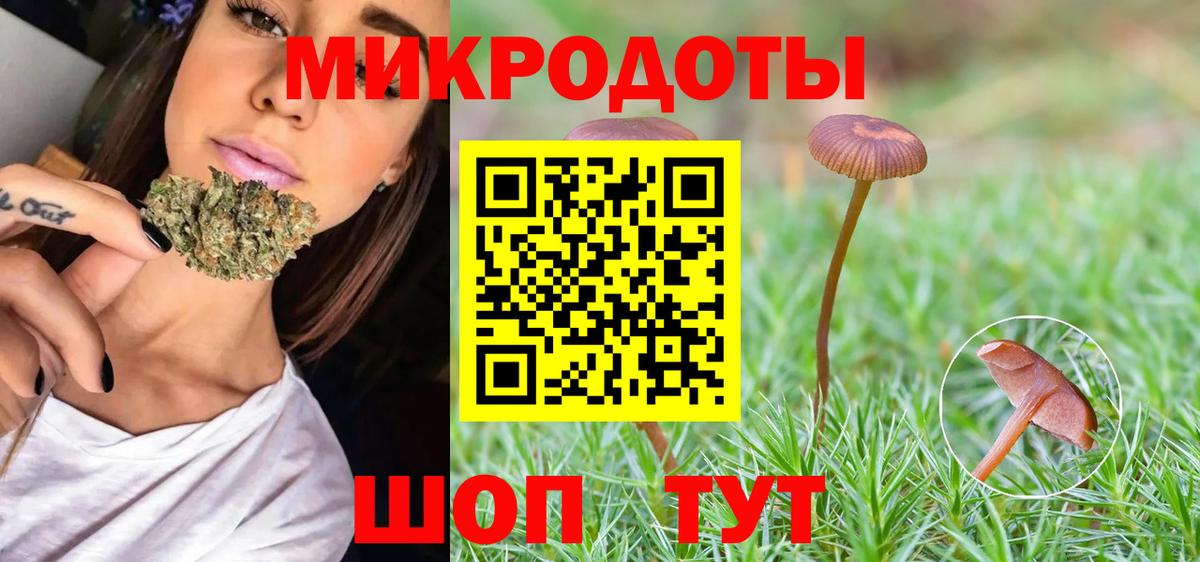 Галлюциногенные грибы Psilocybe Рославль