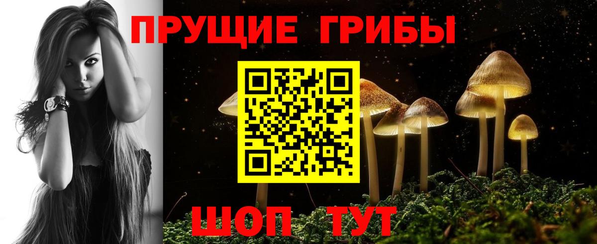 Рославль  Псилоцибиновые грибы Psilocybine cubensis  Вход с VPN 
